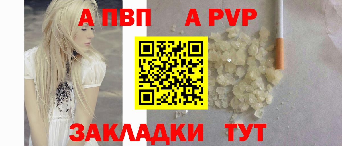 Хасавюрт  A PVP СК КРИС  Вход с VPN  A PVP  Альфа ПВП VHQ 