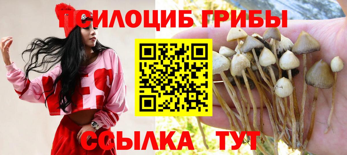 Хасавюрт  Галлюциногенные грибы ЛСД  Вход с VPN  купить наркотик  Галлюциногенные грибы GOLDEN TEACHER 